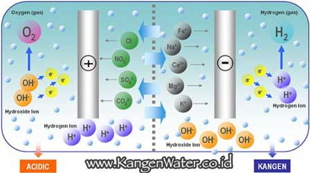 cara kerja mesin kangen water